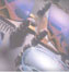 Oakley Lenses