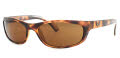 Ray Ban RB4115 Sunglasses FramesDirect