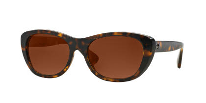 Ray-Ban Prescription Sunglasses RB4227