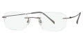 CHARMANT Titanium Perfection CT 8334/8334E Eyeglasses | FramesDirect.com