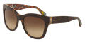 Folder dg4270 dolce sunglasses gabbana price  edmonton