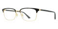 Gucci GG0131O Eyeglasses | FramesDirect.com