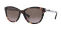 ralph lauren 5201 sunglasses