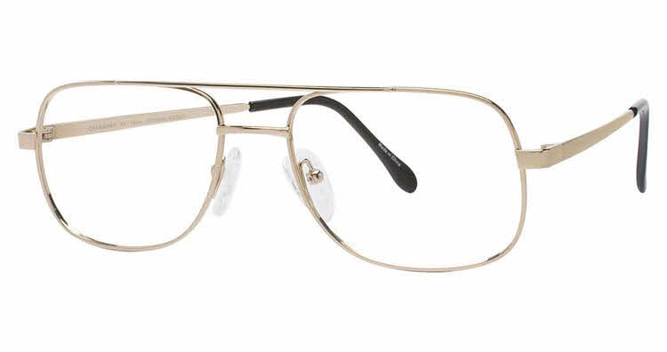 CHARMANT Titanium Perfection TI 8105 Eyeglasses | Free Shipping