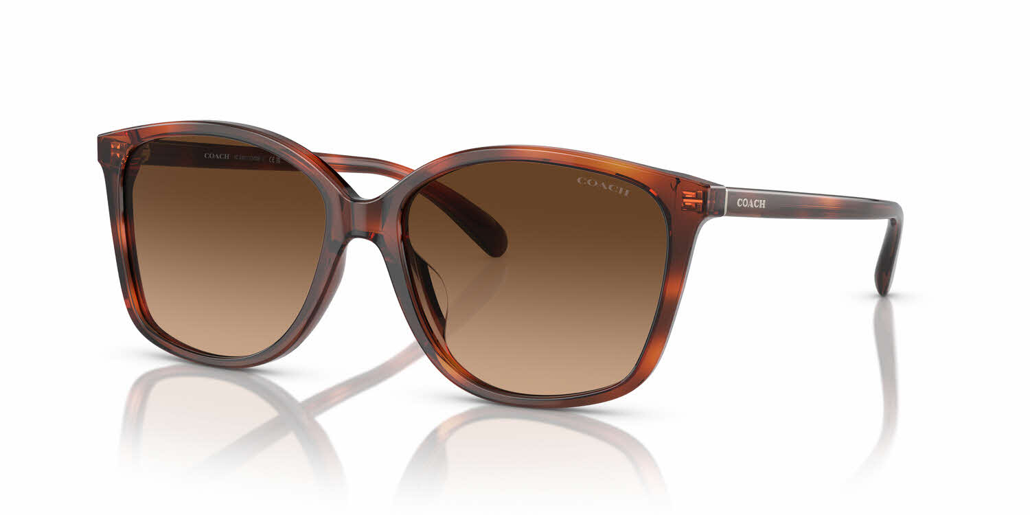 Coach HC8361U Sunglasses