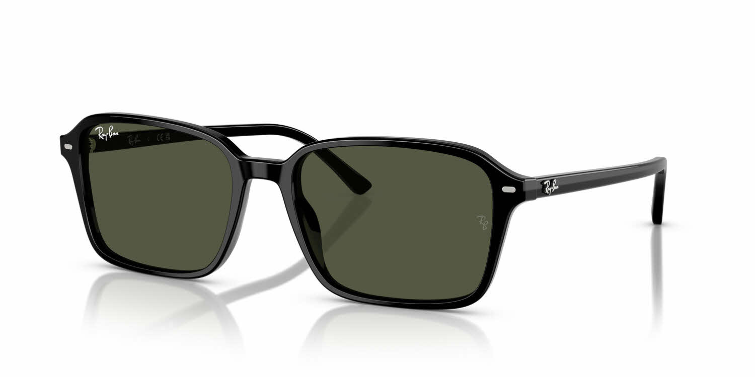 Ray-Ban RB2231 Sunglasses