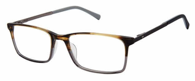 Ted Baker TFM016 Eyeglasses