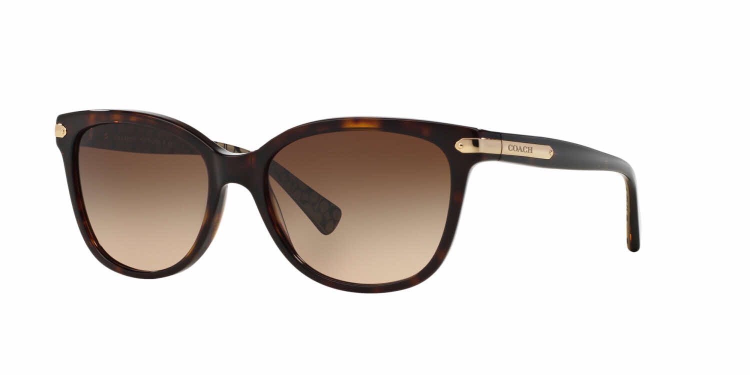 Coach HC8132 Sunglasses FramesDirect